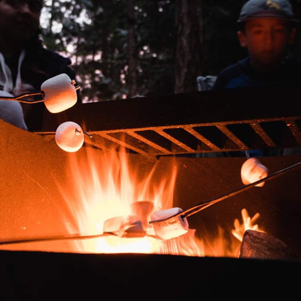 MARSHMELLOW_ROASTING_SKEWERS