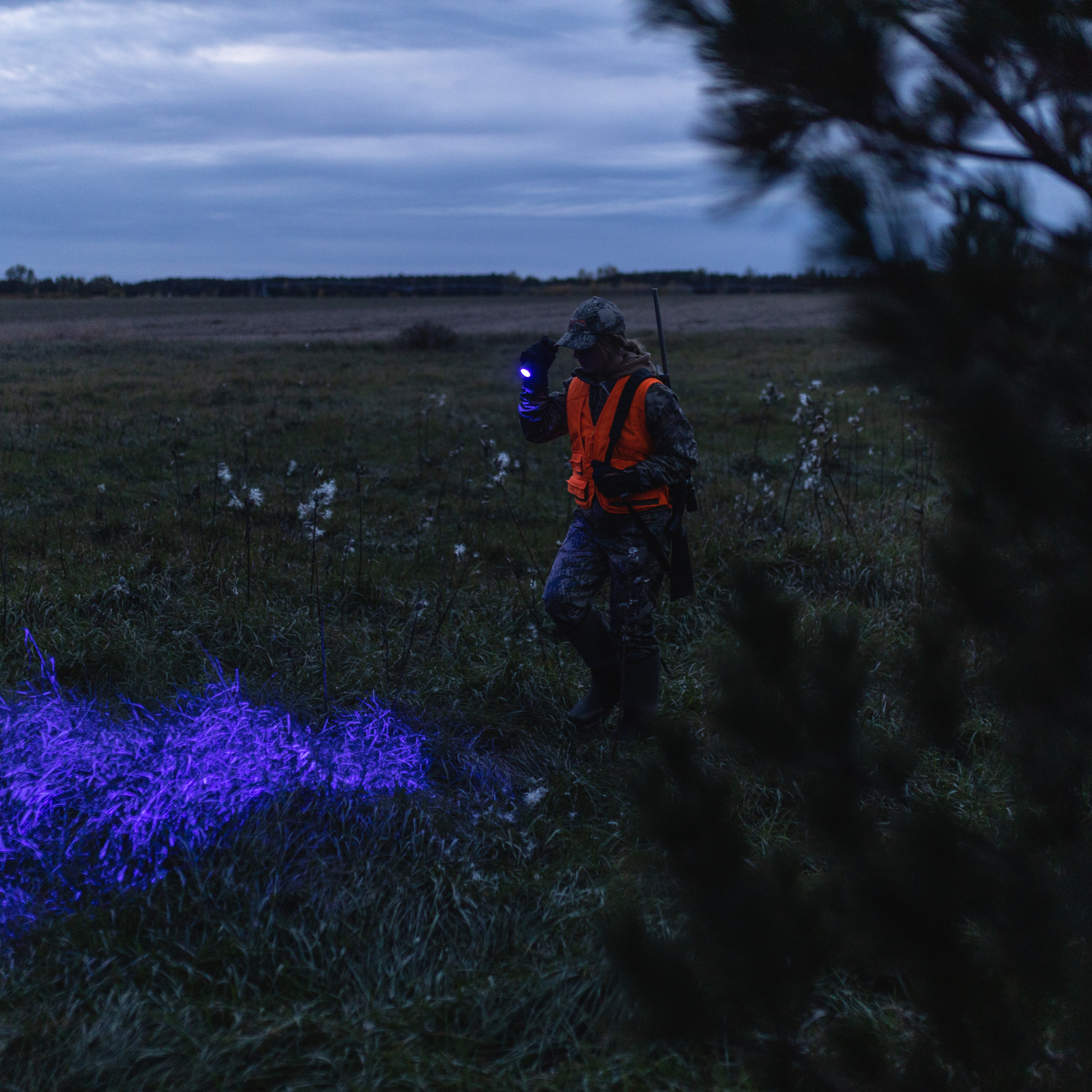 Person in camouflage clothing and orange vest holding a purple light source in a grassy field at dusk.