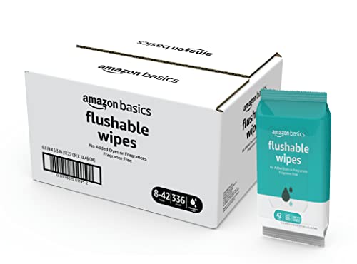 Amazon's Flushable Adult Toilet Wipes, Fragrance Free