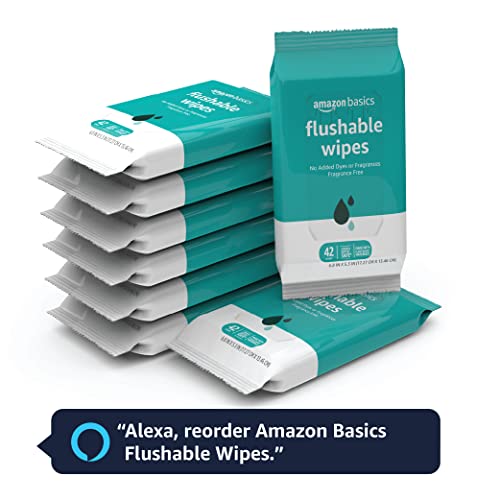 Amazon's Flushable Adult Toilet Wipes, Fragrance Free