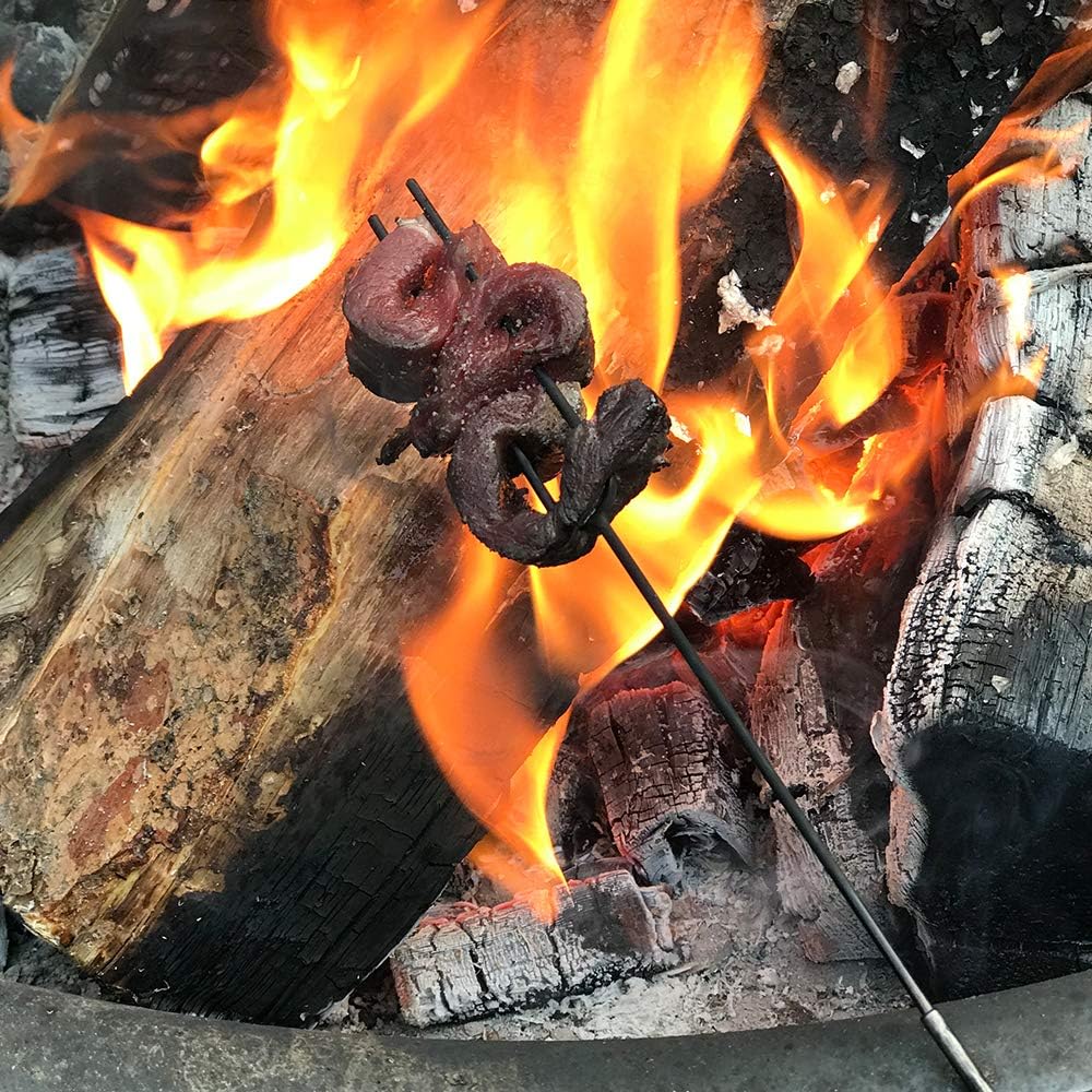MARSHMELLOW SKEWERS CAMPFIRE BBQ PICNICS
OUT THERE CAMPING.COM
