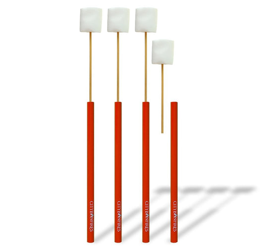 Skewer 4 Pack Portable & Reusable (AMERICAN)